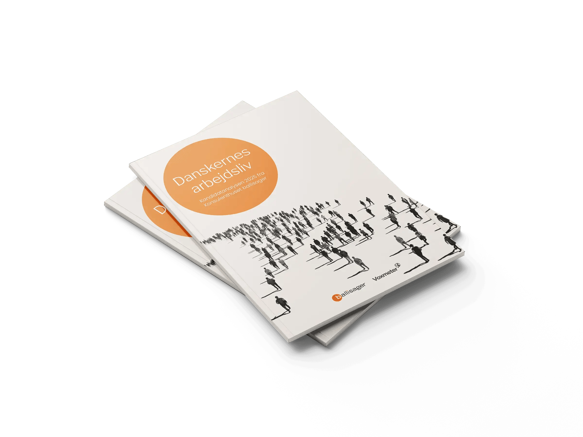 kandidatanalysen_Mockup_1