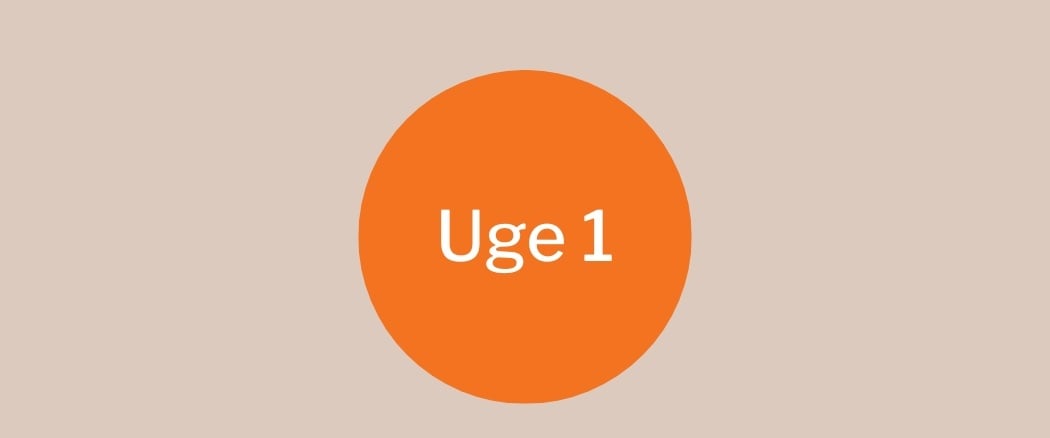 Uge 1