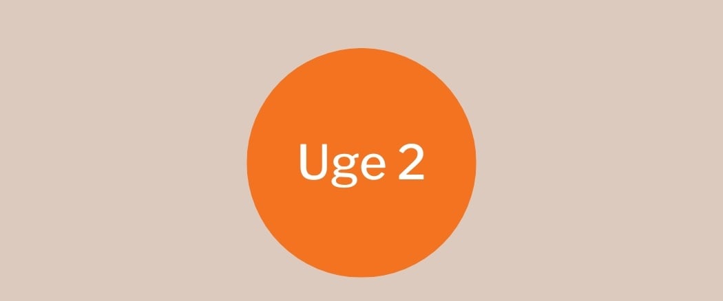 Uge 2