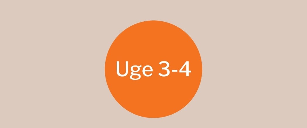 Uge 3-4