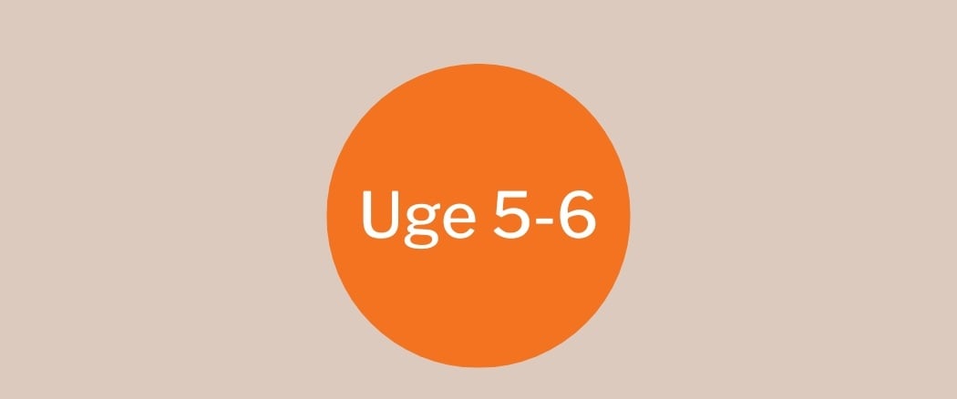 Uge 5-6