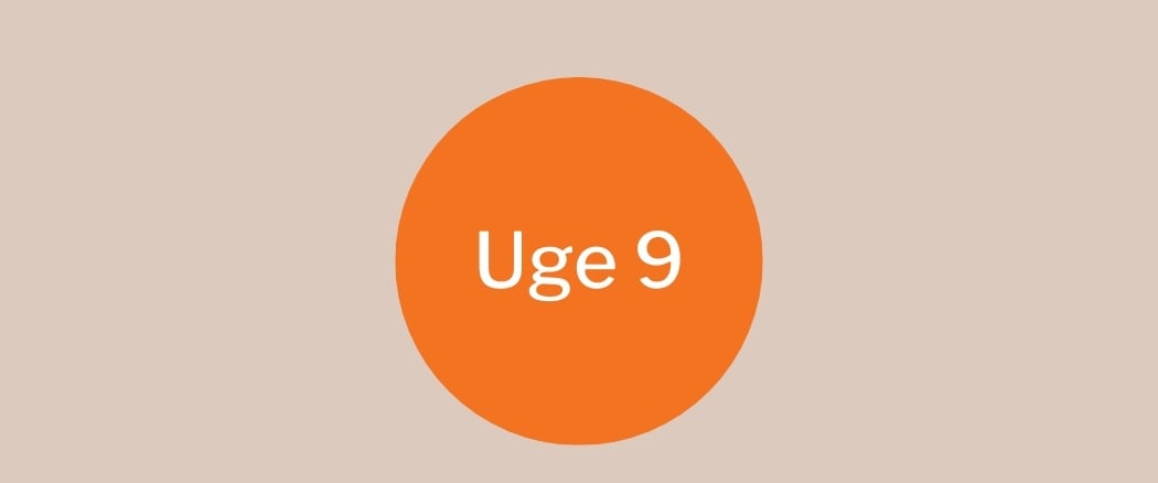 Uge 9